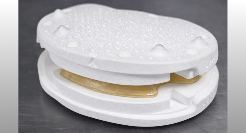 Nivalon Medical Develops Patient-Specific, Metal-Free Spinal Implant
